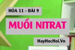 Tính chất hóa học của Muối Nitrat và Bài tập vận dụng - Hóa 11 bài 9